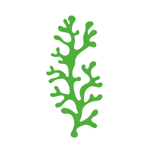 Logo | Chlorella Dr. Ray