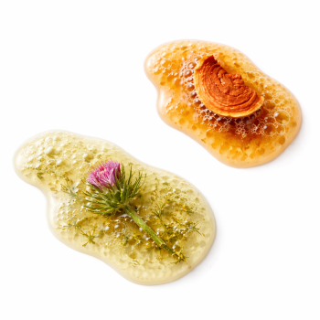 Fermentierte Kräuter und Vitalpilze