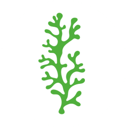 Logo von Chlorella Dr. Ray als Reinheitskodex für flüssige Nahrungsergänzung aus der Schweiz
